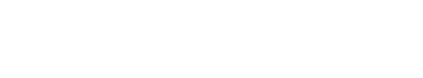 Wisdom Brand logo in white